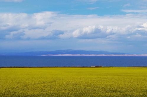 青海：以绿为进厚植发展底蕴