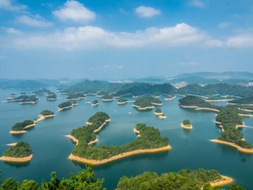 中林集团：加快推进生态产业建设 将亮丽业绩写在美丽中国大地上