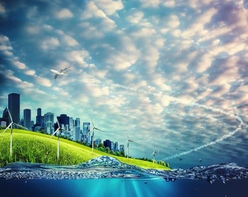 产业转型带动乡村建设 上海金山实现“化工”到“画卷”蜕变 ​　