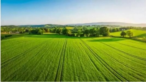 推进农业绿色发展的路径