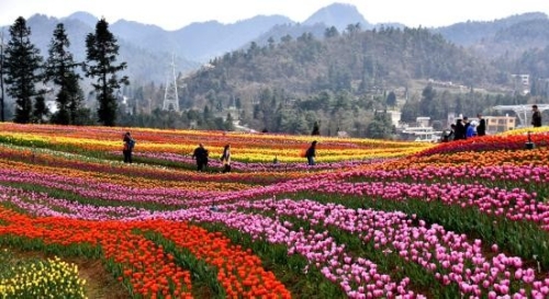 生态优势就是发展优势