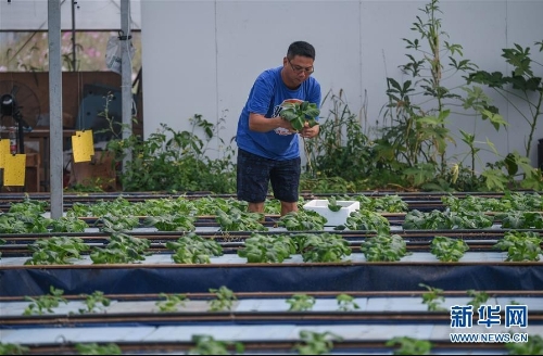 浙江湖州：推广绿色生态农业 助力现代农业发展