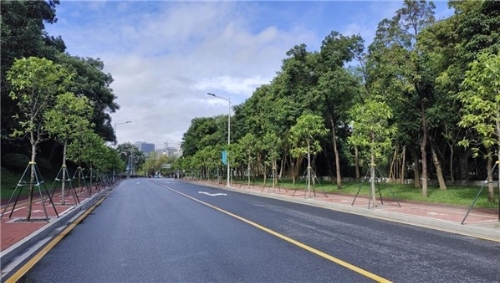 打造城市新名片，厚植“绿色幸福感” ——广州市黄埔区致力环境园林绿化新建设