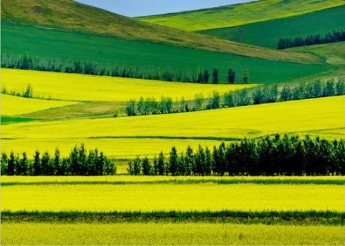 内蒙古：树立起生态优先、绿色发展的导向