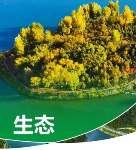 十九届五中全会：推动绿色发展 促进人与自然和谐共生