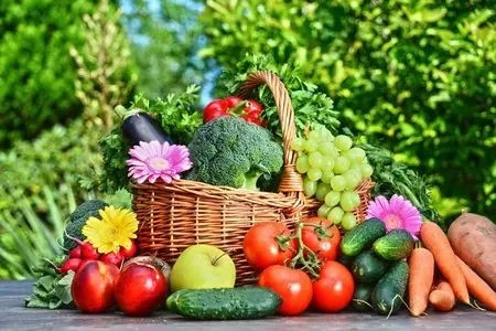 推动绿色生产 引领绿色消费 绿色食品产业高质量发展取得积极成效