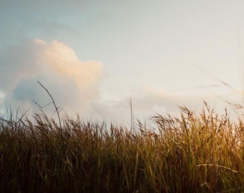 业绩加速回暖 行业春天已至？