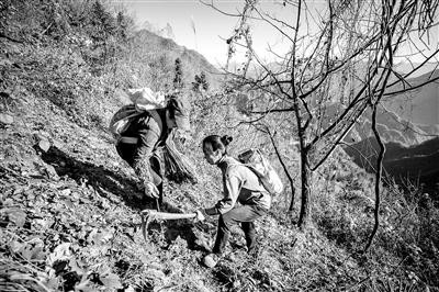 绿色发展共筑美丽中国