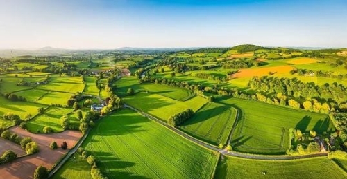 土壤修复任重道远 全国农业专家汇聚南京助力绿色发展