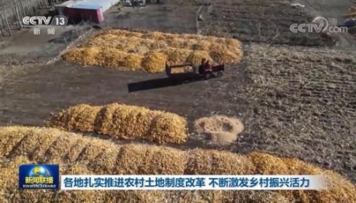 各地扎实推进农村土地制度改革 不断激发乡村振兴活力