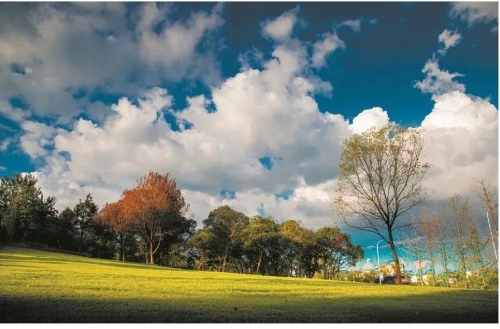 保护青山绿水 筑牢生态屏障