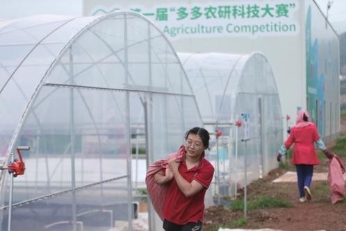 赵春江：快速发展农业数字经济 助力农业高质量发展