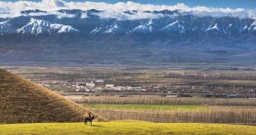 让希望的绿色遍布南疆大地