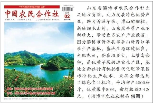 张天佐：深化农村宅基地制度改革 激发乡村振兴活力