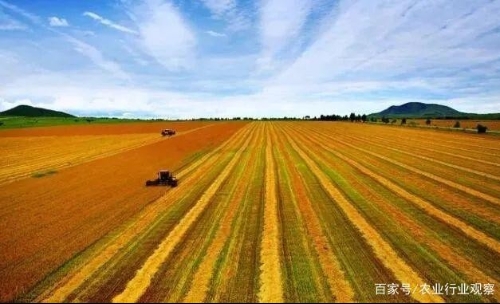 大趋势！农民变成产业工人，将会引发中国农业向上