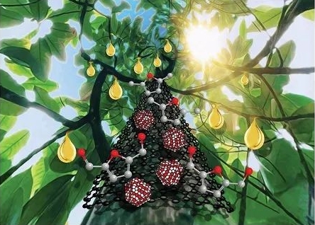 云南大学方文浩课题组在ChemComm报道生物燃料绿色合成新催化剂