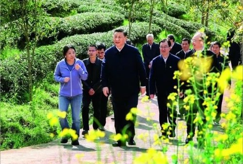 中国发展高层论坛2021年会专辑③ | 对焦“双碳”目标，践行绿色发展