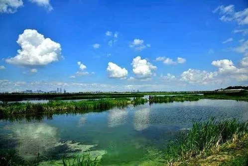 长岭湖首届开湖节18日举行 打造生态绿色品牌