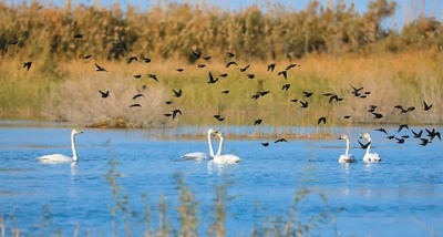 厚植绿色发展底色