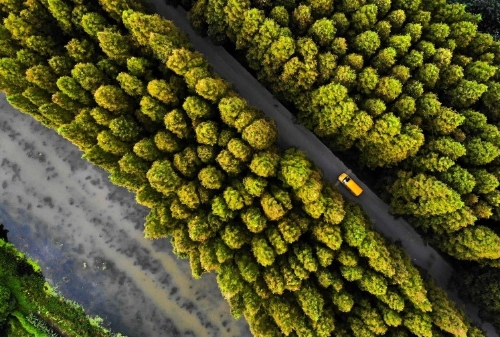 绿色转型全面推进 央地共建美丽中国