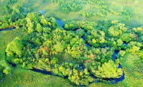 增减之间 绿色成为高质量发展鲜明底色（央视《新闻联播》）