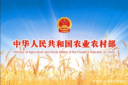 农业农村部：“十四五”时期 多措并举推进农业绿色发展
