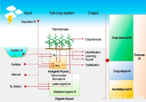 中农发布全国主要粮食作物县域氮肥施用定额，助力农业绿色发展