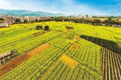 《绿色先行者——2021年全国农业绿色发展典型案例专刊》出版