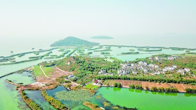 作为长三角地区三大淡水湖之一的太湖风光 新华社发