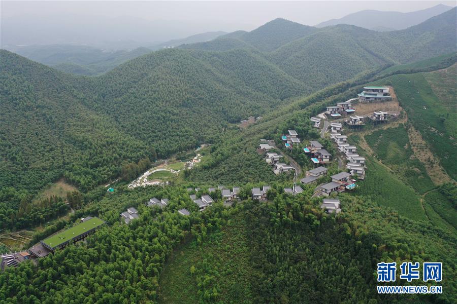(新华全媒头条·图文互动)(8)“绿”从天目盎然出——湖州做好“六稳”工作落实“六保”任务新观察