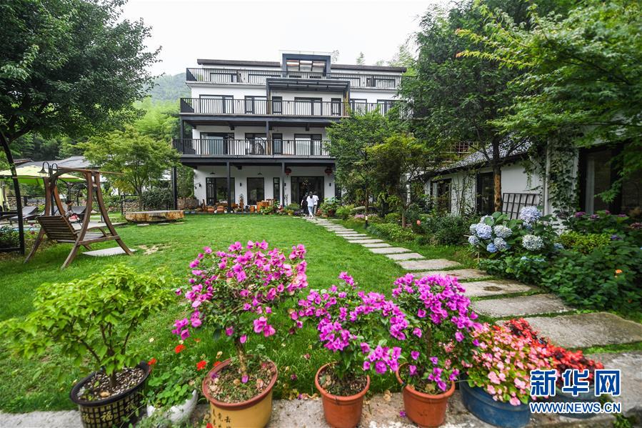 (新华全媒头条·图文互动)(6)“绿”从天目盎然出——湖州做好“六稳”工作落实“六保”任务新观察