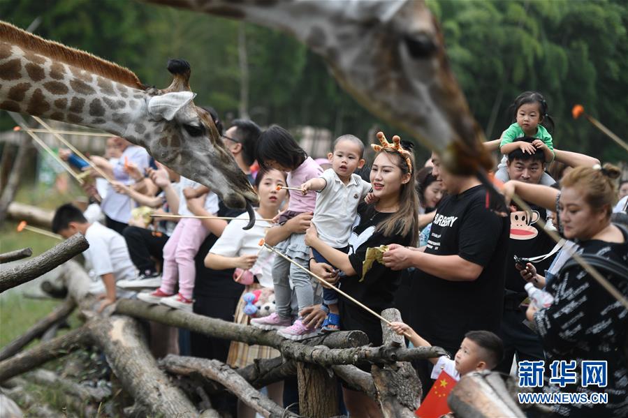 (新华全媒头条·图文互动)(9)“绿”从天目盎然出——湖州做好“六稳”工作落实“六保”任务新观察