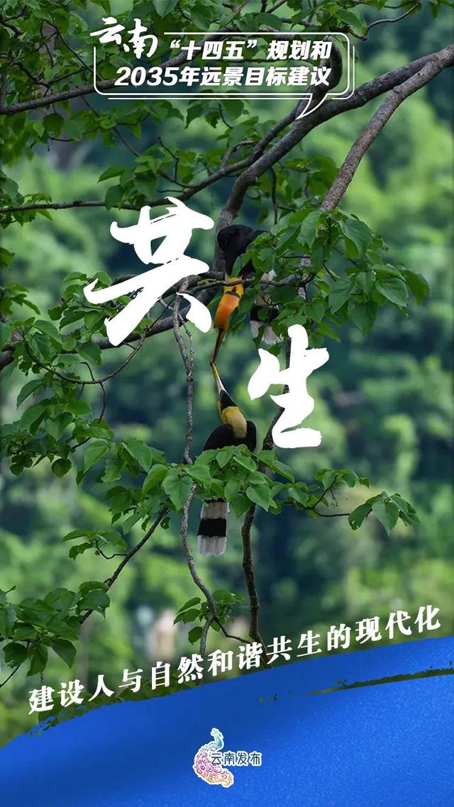 1608653312235161.jpeg 94cad1c8a786c917b49a922afdb1b7c83ac75798.jpeg